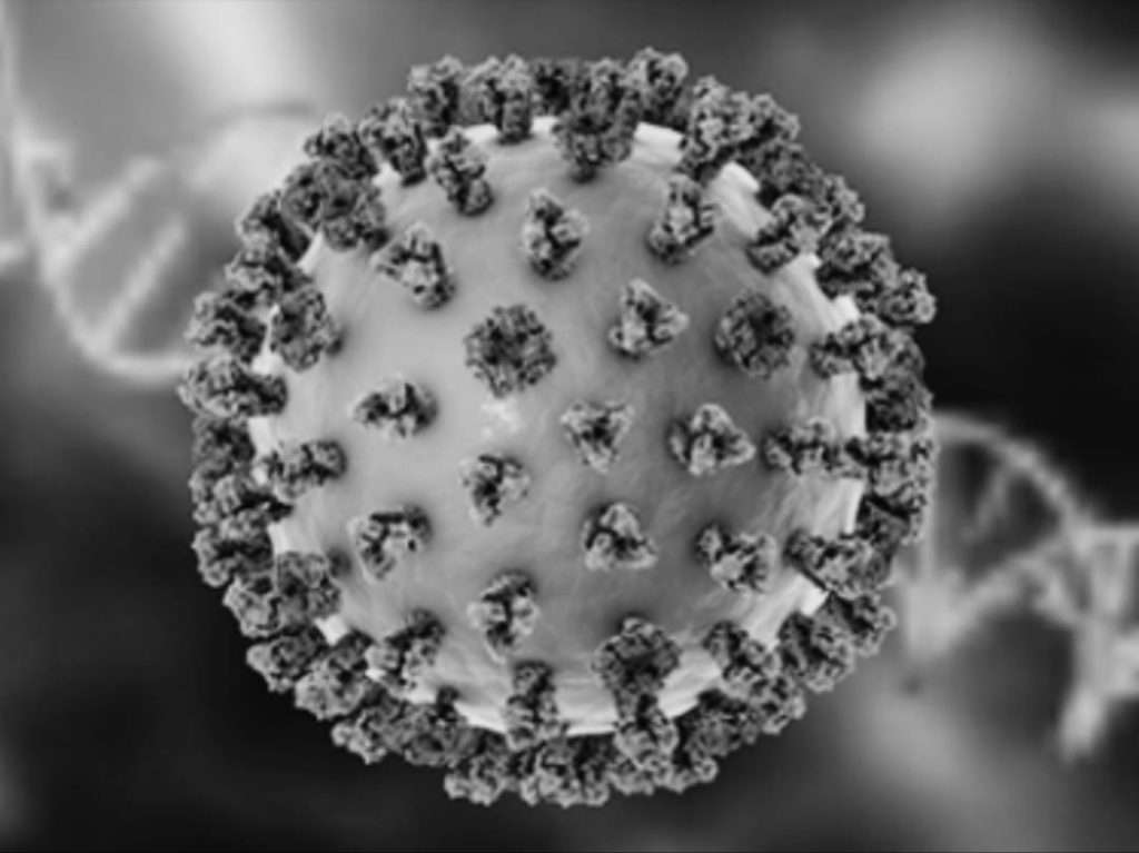 Misure di confinamento del pollame in Spagna per l’influenza aviaria H5N1 Misure di confinamento del pollame in Spagna per l’influenza aviaria H5N1