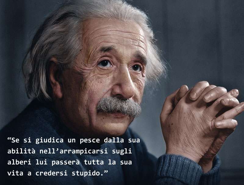 Albert Einstein Albert Einstein, DSA