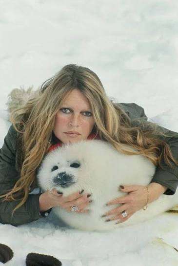 Brigitte Bardot