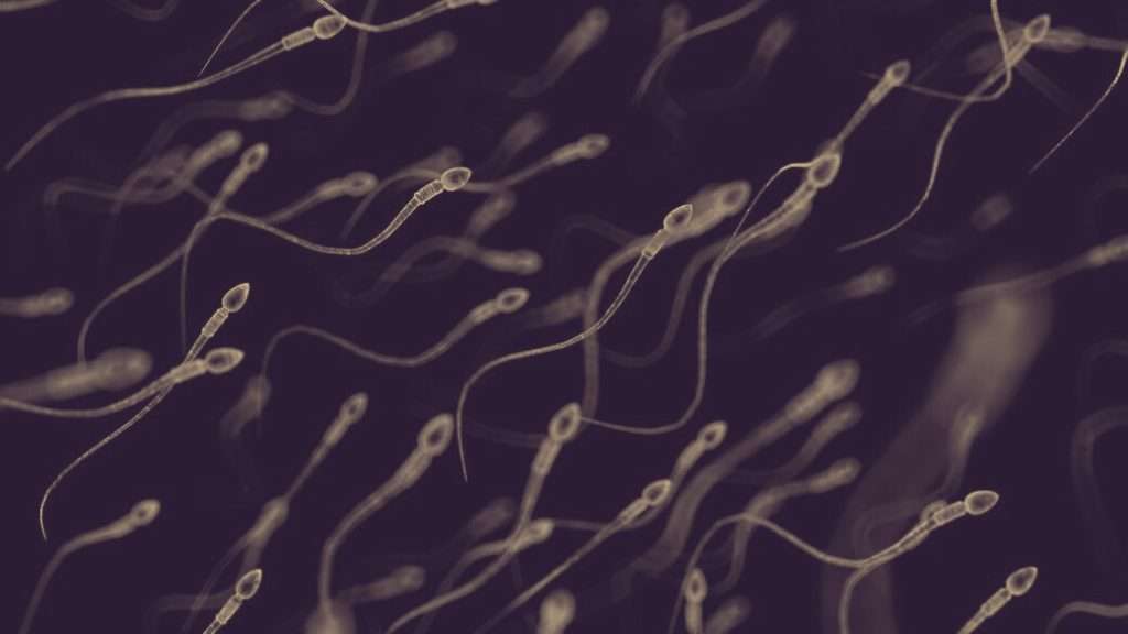 spermatozoi mutazione genetica 1