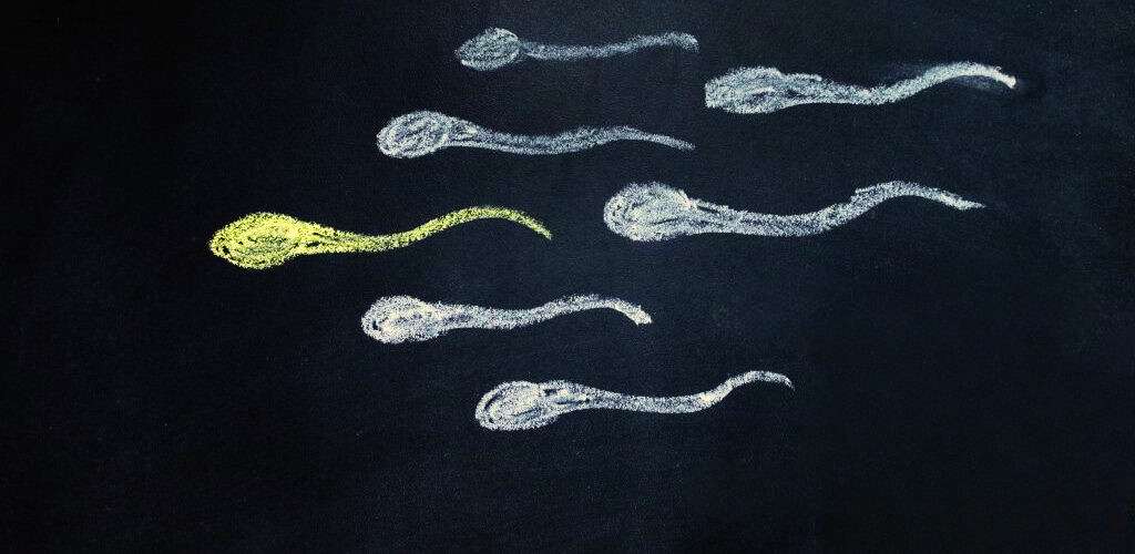 spermatozoi mutazione genetica 2