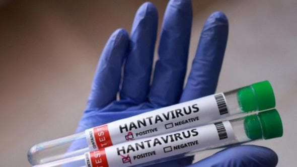 Hantavirus