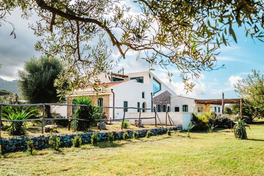 Tenuta Rasocolmo: come Francesco Reitano ha trasformato Capo Rasocolmo