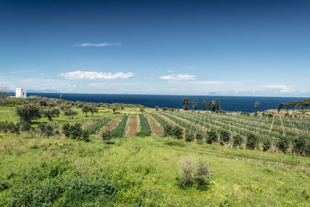 Tenuta Rasocolmo