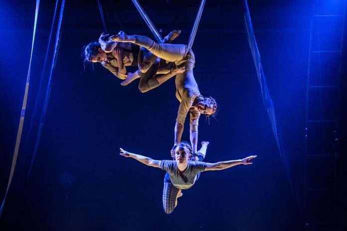 Il circo contemporaneo affida la meraviglia al talento umano, tra acrobazia, danza e nuove forme di spettacolo. Un modello che rinuncia agli animali e ripensa la tradizione della pista